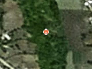 Previzualizare Casa si teren arabil extravilan situat in Comuna Cerţeşti, sat Certesti, T. 67, P. 1, Județul Galați