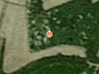 Previzualizare Casa + anexe + teren intravilan 18.647mp, Caraseu, jud. Satu Mare